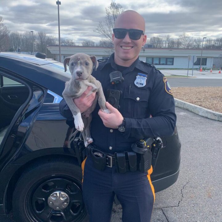 Read more about the article Police Officer welcomes rescued pittie puppy into his familyhelter animals make incredible transformation  few months after getting adopted