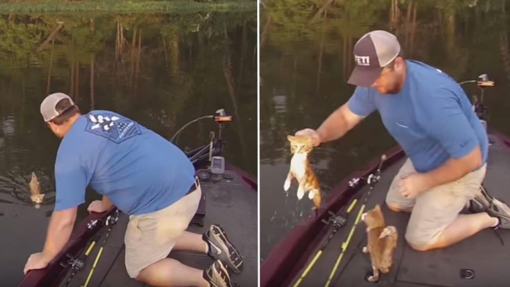 You are currently viewing Two Guys Went On A Fishing Trip – Ended Up “Catching” Orphaned Kittens