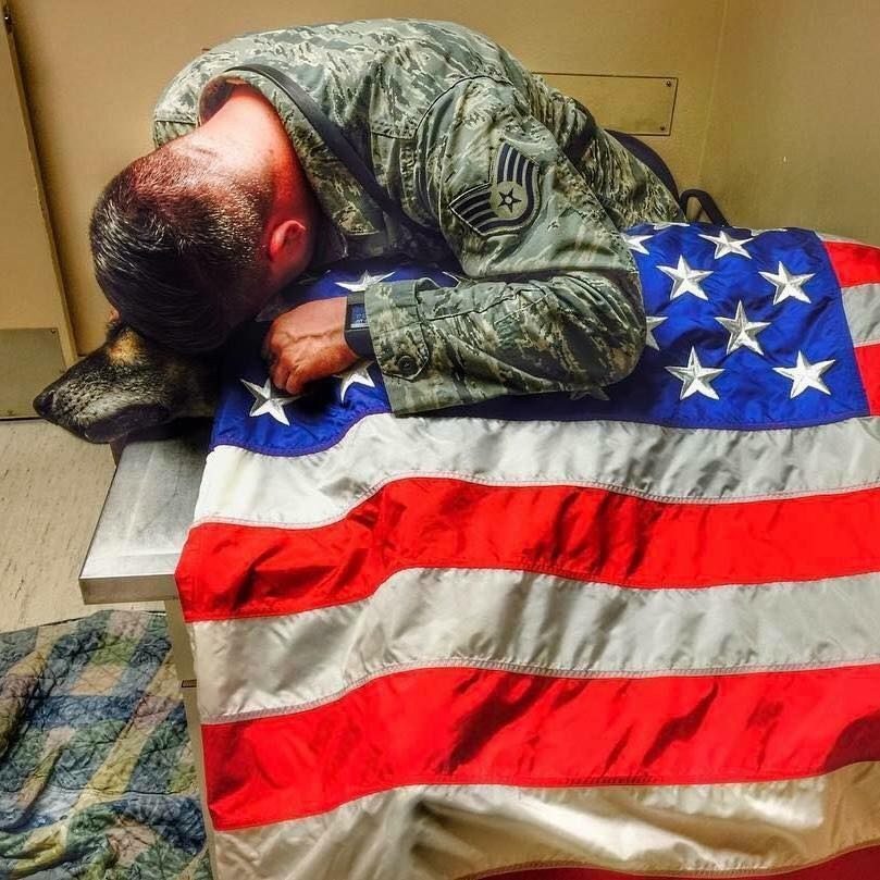 You are currently viewing Soldiers say goodbye to K9 hero by draping him with American flag