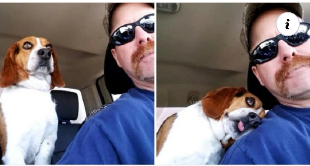 You are currently viewing Dog Immediately Thanks The Man Who Saved Him From Death Row