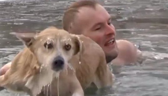 Read more about the article Brave reporter jumps into icy water and saves drowning dog while live broadcast