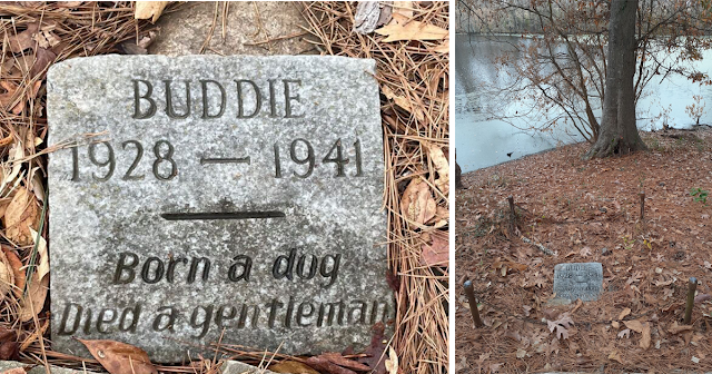 Read more about the article 80-Year-Old Gravestone Honors Dog Who “Died A Gentleman”