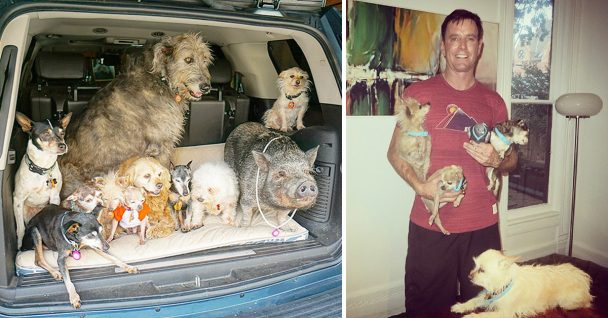 Read more about the article Man dedicates his life to adopting senior dogs who can’t find forever home