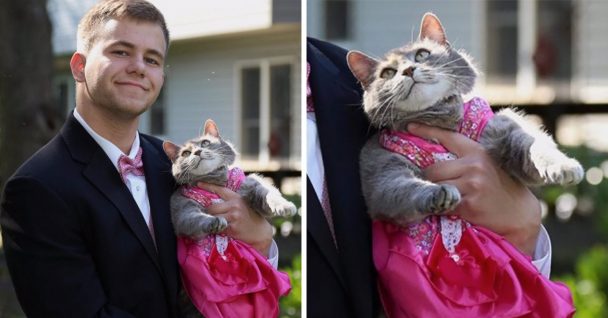 Read more about the article Teen couldn’t find a date for the prom, so he took his cat instead