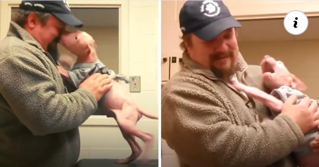 You are currently viewing Man Returns To Adopt The Dog He Rescued, And The Pup Couldn’t Be Happier