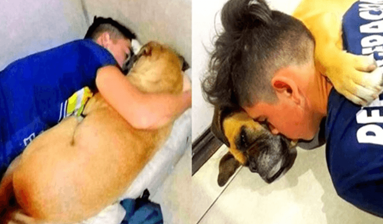 Read more about the article Boy Cries While Senior Dog Passes Away In His Arms Due To Panic Attack Of Fireworks