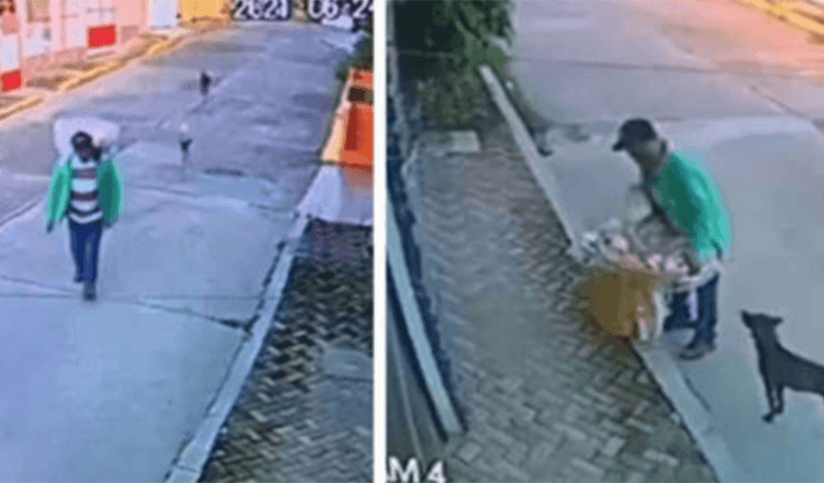 You are currently viewing STREET VENDOR IS CAUGHT ON CAMERA GIVING THE LAST OF HIS FOOD TO HUNGRY STRAY DOGS
