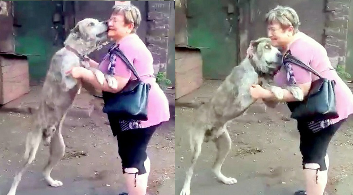 You are currently viewing Mom in tears when finding her dog starving after being stolen 2 years ago