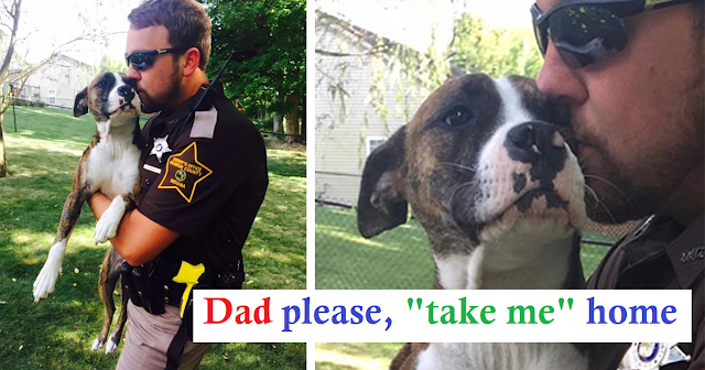 Read more about the article Dog Abandoned In Park Gets Adopted By The Cop Who Rescued Her