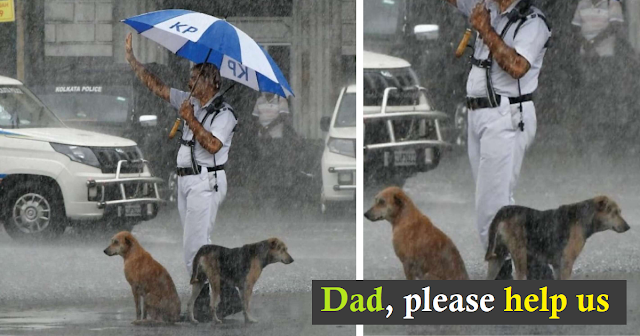 Read more about the article Cop Shares Umbrella With Stray Dogs During Heavy Rainstorm