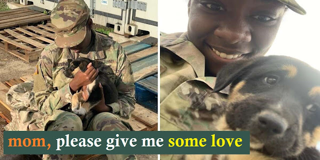 You are currently viewing Army  Sergeant   Reunites  With The Puppy She Saved Overseas