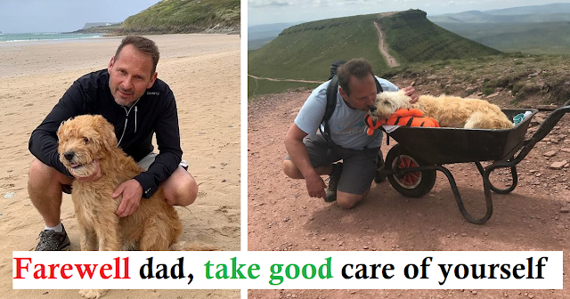 You are currently viewing Devoted Dog Dad Takes Ill Labradoodle on a Final Mountain Hike in a Wheelbarrow to Say Goodbye