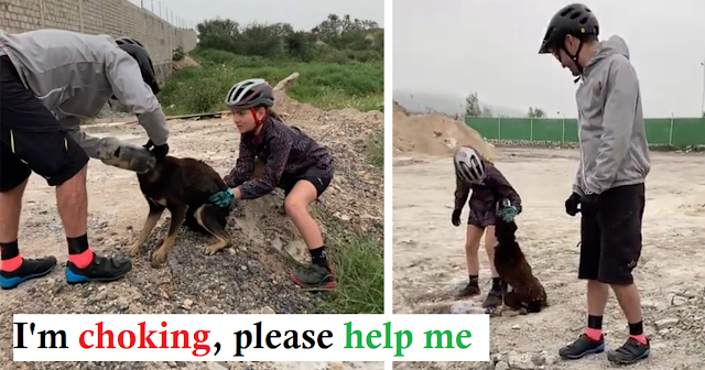 Read more about the article A family on a bike rescues a dog whose head is stuck in a plastic bottle.