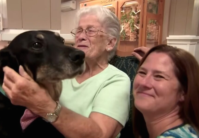 You are currently viewing DOG REPEATEDLY ESCAPES ANIMAL SHELTER, SNEAKS INTO NURSING HOME, IS ADOPTED BY RESIDENTS