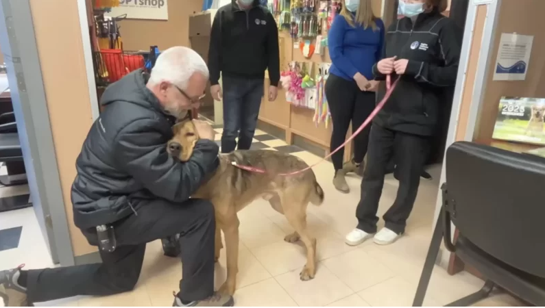 You are currently viewing SHELTER DOG REFUSES TO LEAVE WITHOUT GIVING ALL STAFF MEMBERS GOODBYE KISSES