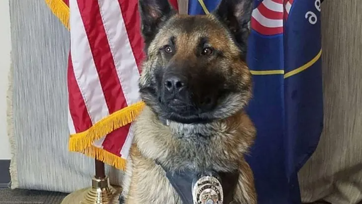 Read more about the article A RETIRING POLICE DOG GETS HIS FINAL GOODBYE OVER A RADIO CALL