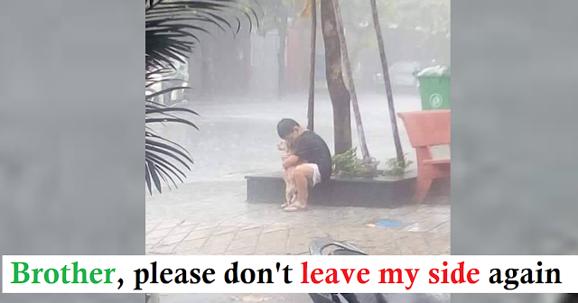 Read more about the article Millions of people’s hearts warmed when they saw a youngster cuddling up to a puppy in the rain after it had been missing for several days. ​ 