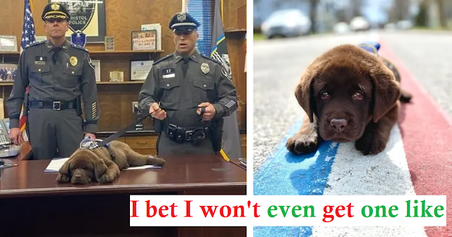Read more about the article K-9 Puppy Slept Through the Whole Inauguration Process