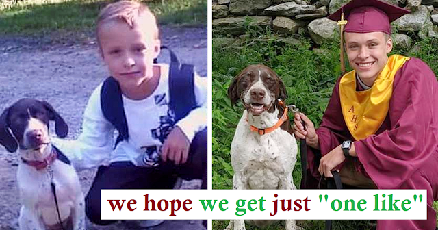You are currently viewing A Boy and His Adorable Dog Recreate A First-Day-of-School Photo 