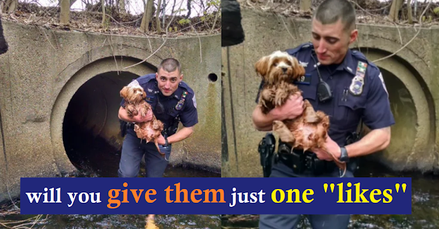 Read more about the article A cop throws away shoes and socks to save a scared puppy that is trapped in a dark tunnel. 