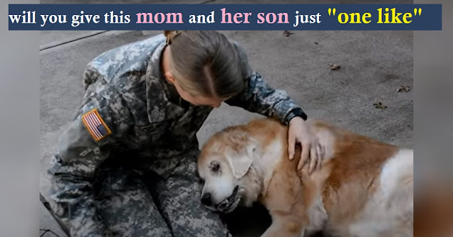Read more about the article Elderly Dog Hardly Can Walk, Cries When She Sees Her Soldier Mom Coming Back Home