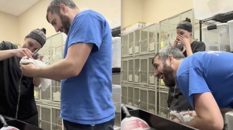 You are currently viewing Parrot Makes Veterinary Staff Cry With Laughter During Nail Trim